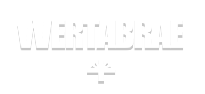 vertabraestore.shop